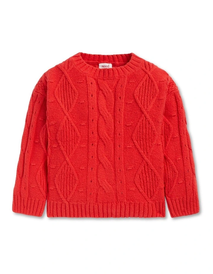 Pompom Cable Knit image 4