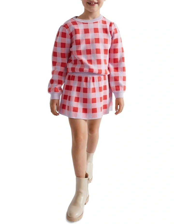 Gingham Skirt image 1