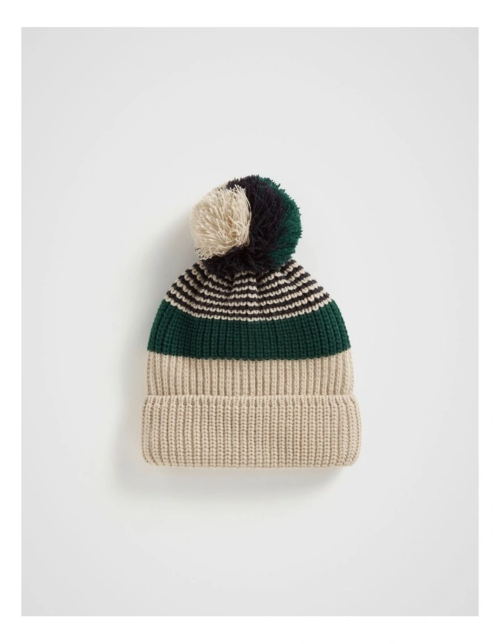 Stripe Knit Beanie in Multi image 1