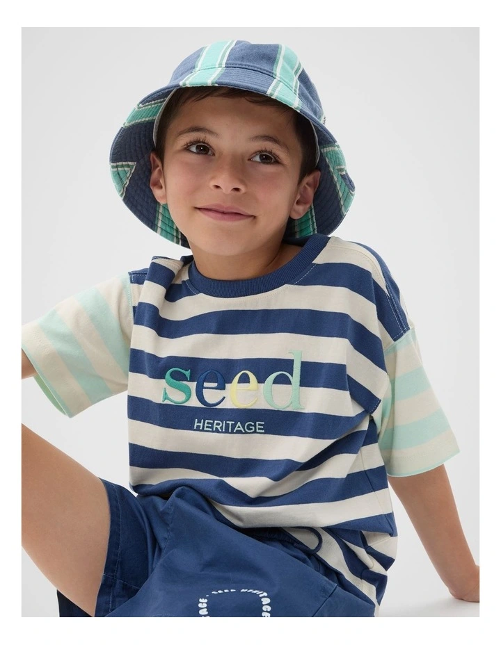 Wide Stripe Bucket Hat in Multi image 2