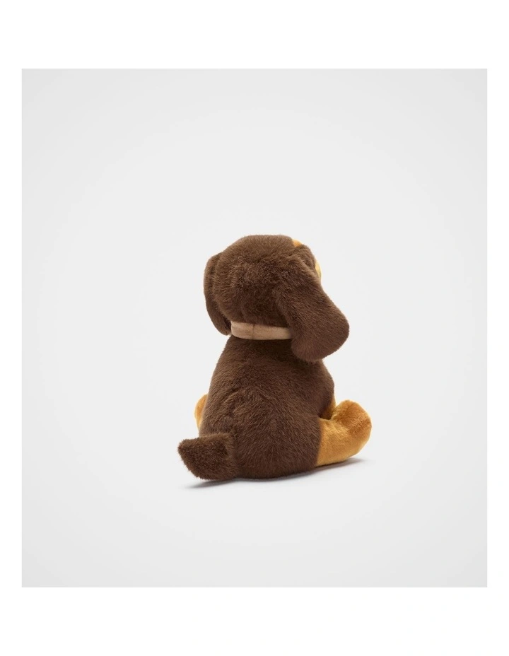 Keeleco Dachshund image 2