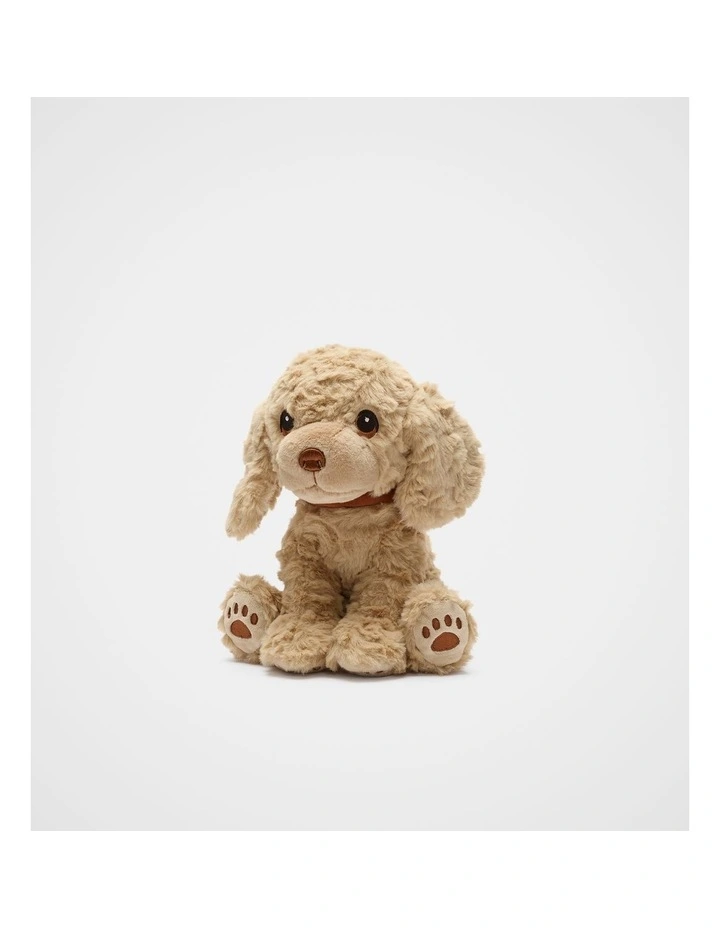 Keeleco Cavapoo image 1