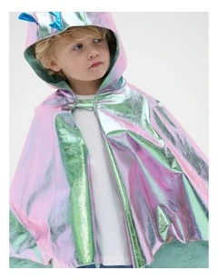 Dragon Costume