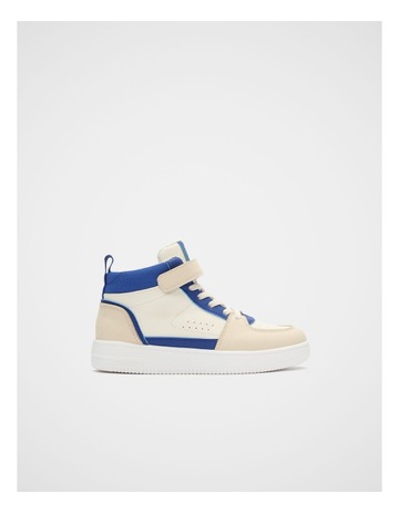Cobalt Multi colour