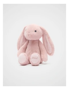 Bobby Bunny