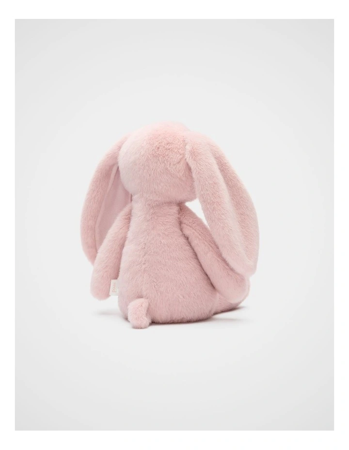 Bobby Bunny image 2
