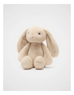 Bobby Bunny