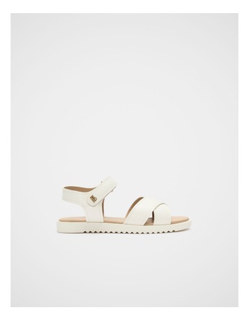 Classic Cream colour