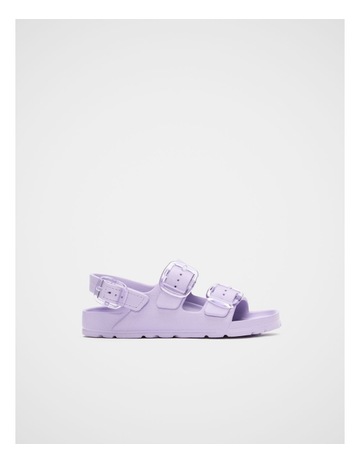 Lilac colour