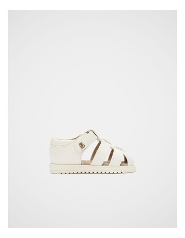 Classic Cream colour