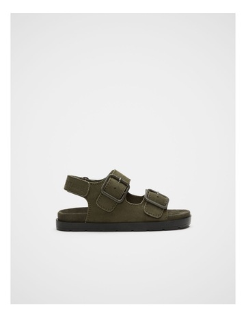 Olive colour