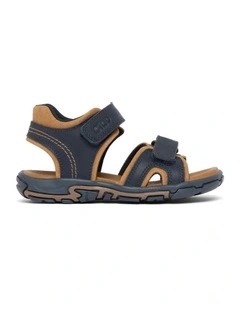 Hector Sandals in Navy