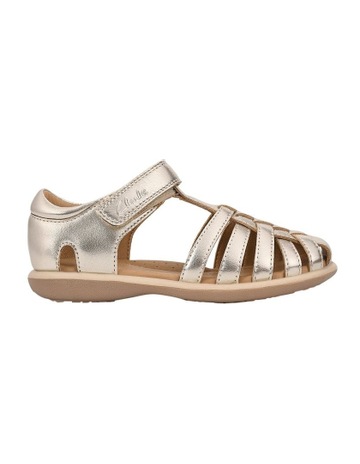 Gold Metallic colour