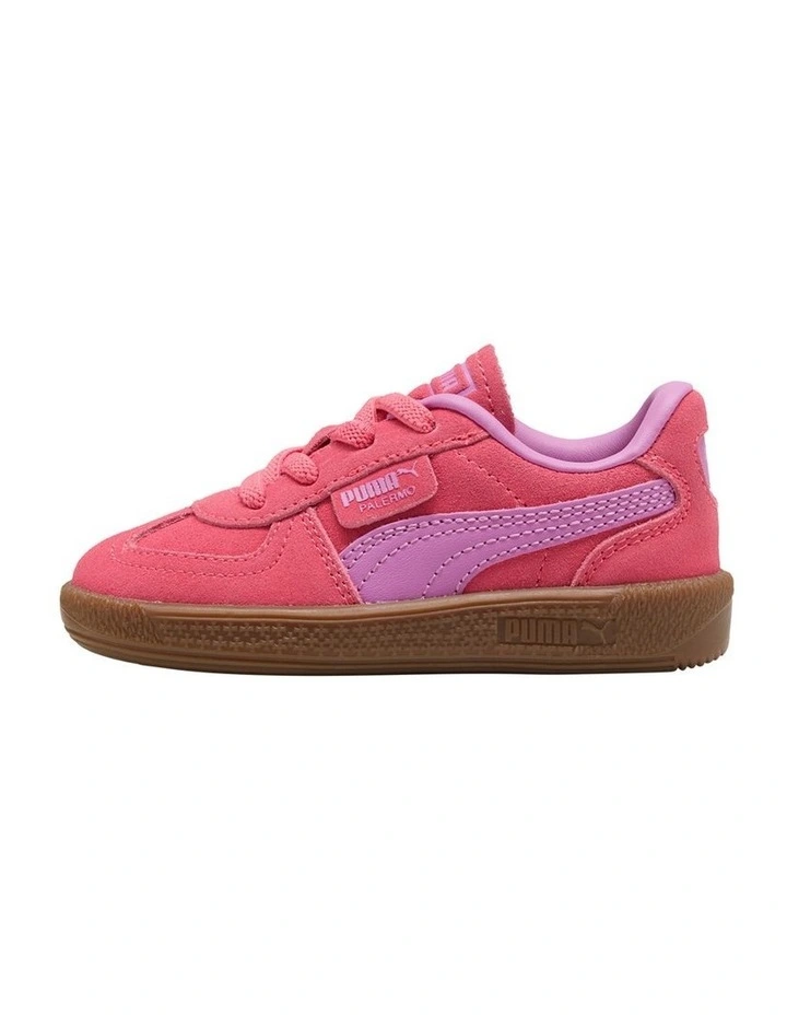 Palermo Elastic Lace Infant Sneakers in Rose image 2