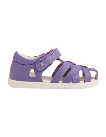Purple Haze colour