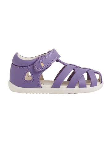 Purple Haze colour
