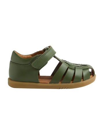 Bronze Green colour