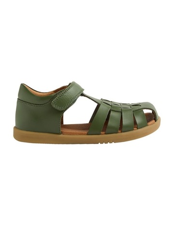 Bronze Green colour