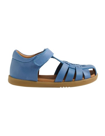 Coronet Blue colour