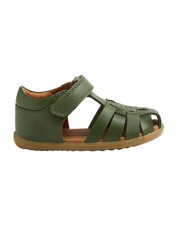 Bronze Green colour