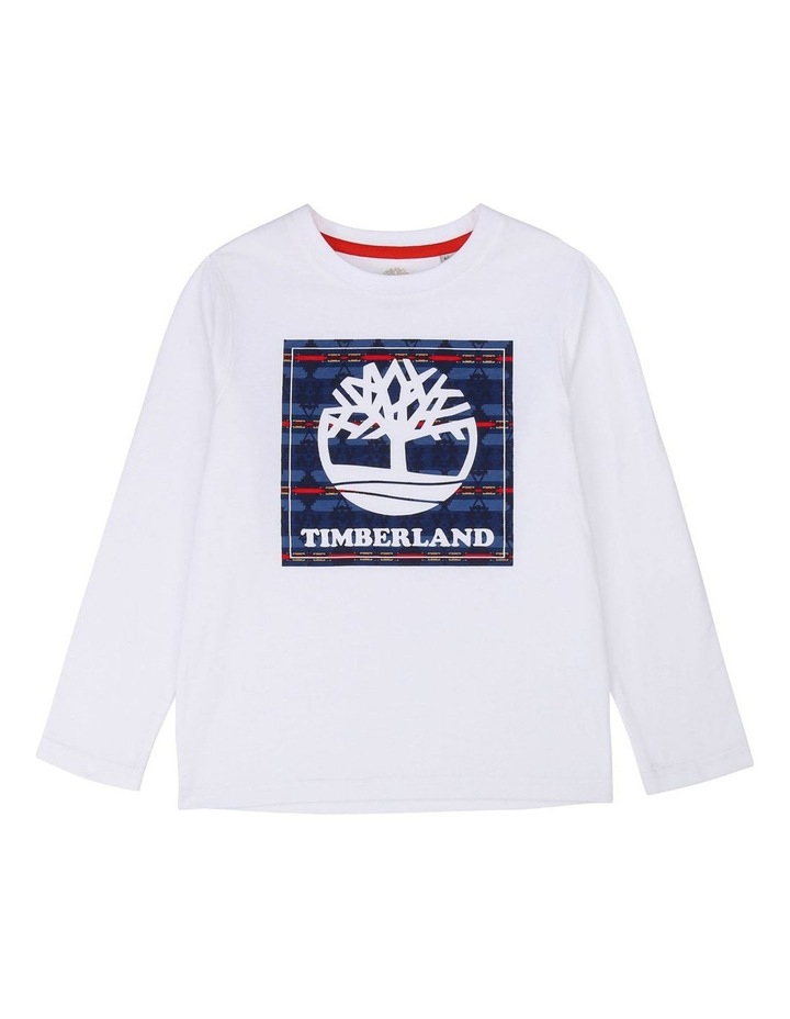 Dinosaur Shirt | Shop Online | MYER