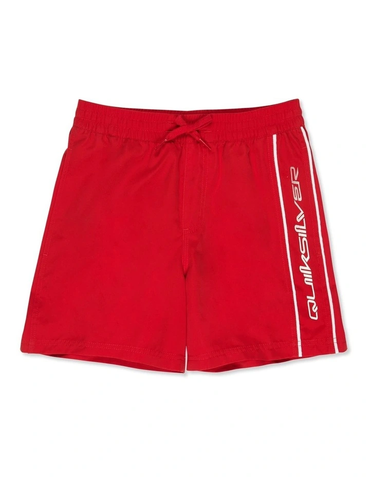 Everyday Volley 15 inch  Swim Shorts image 1