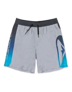 Everyday Volley 15 inch  Swim Shorts