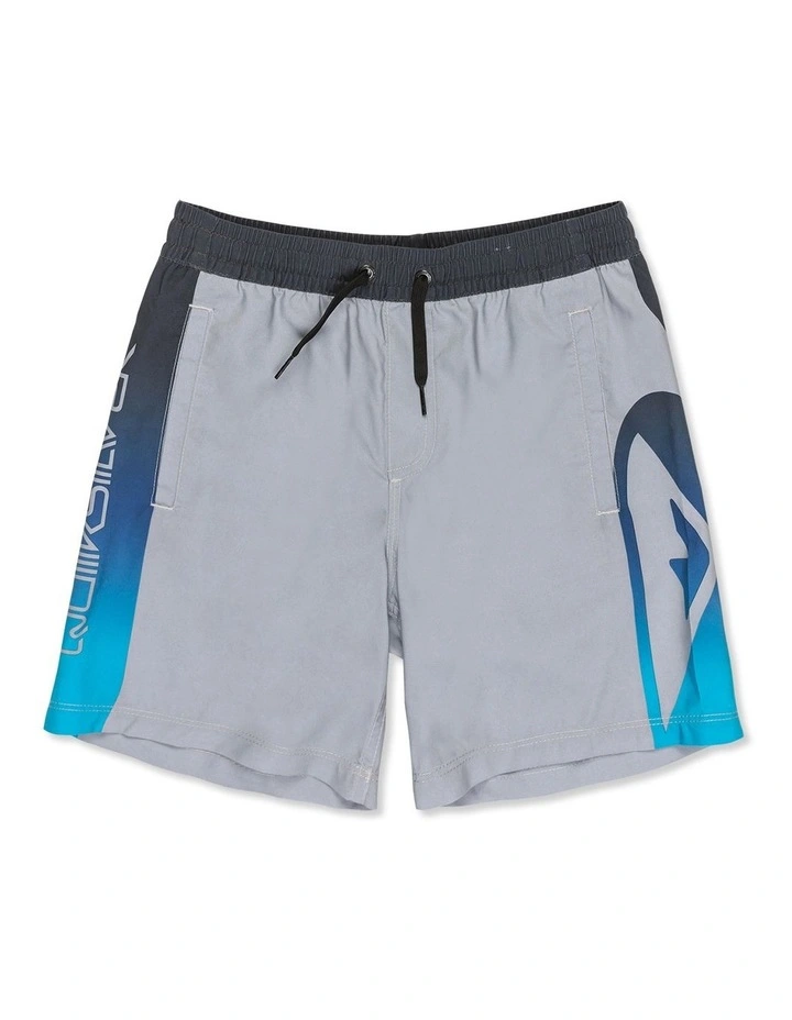 Everyday Volley 15 inch  Swim Shorts image 1