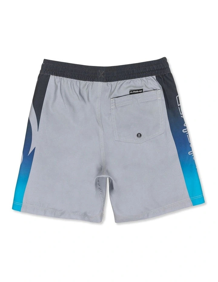 Everyday Volley 15 inch  Swim Shorts image 2