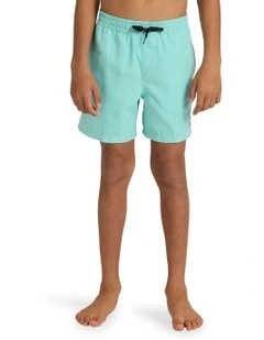 Everyday Volley 14 Inch  Swim Shorts