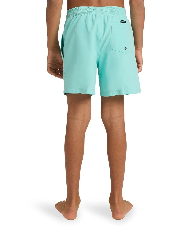 Everyday Volley 14 Inch Swim Shorts image 2