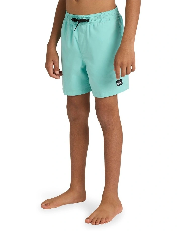 Everyday Volley 14 Inch Swim Shorts image 3