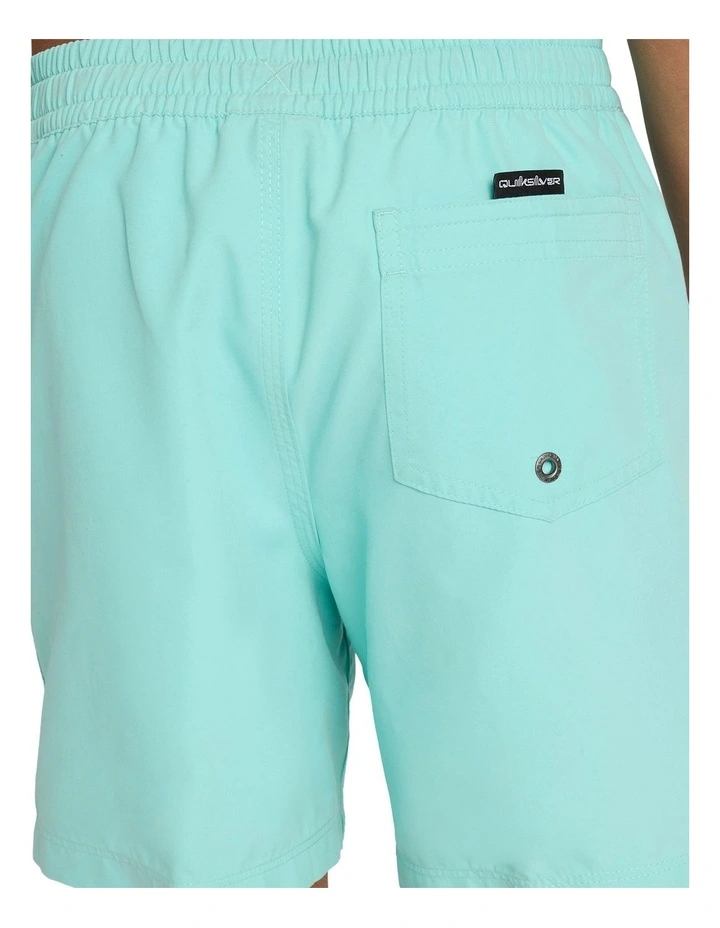 Everyday Volley 14 Inch Swim Shorts image 4
