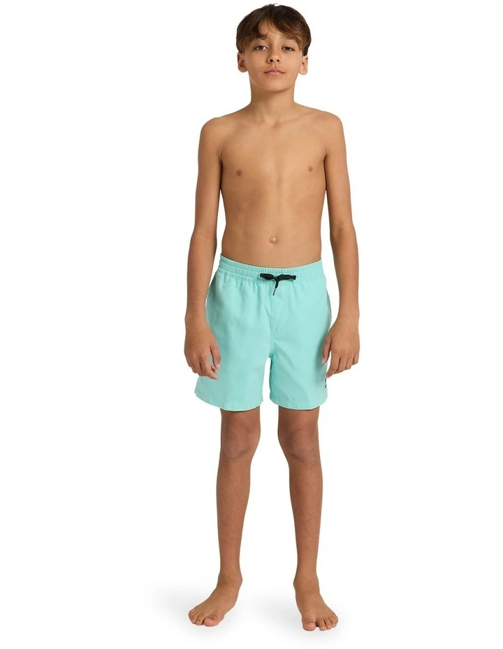 Everyday Volley 14 Inch Swim Shorts image 5
