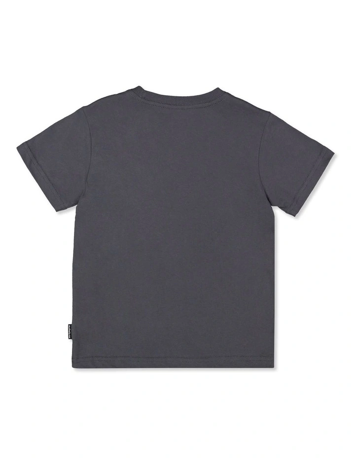 Omni Terra T-Shirt in Grey image 2