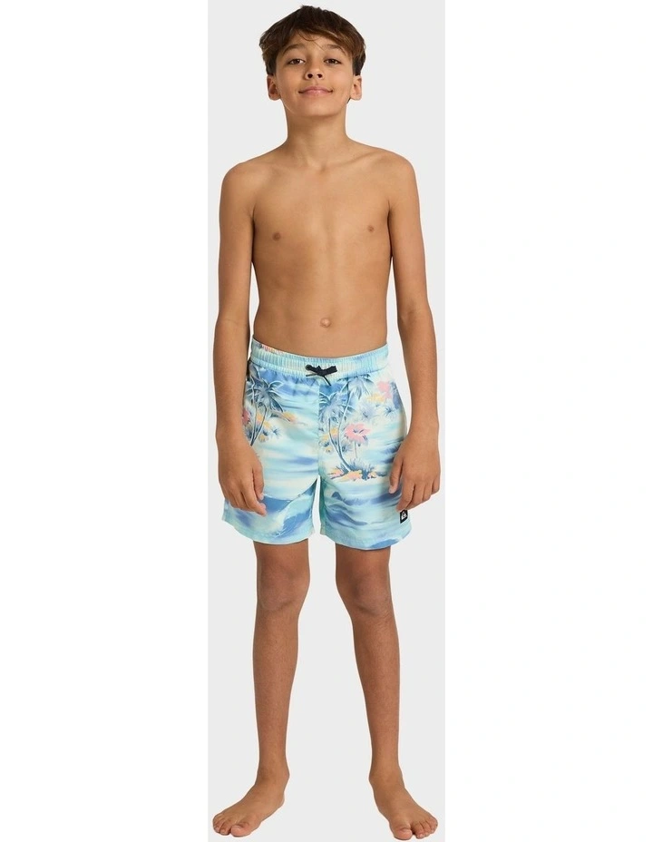 Everyday 14 Swim Shorts in Blue image 5