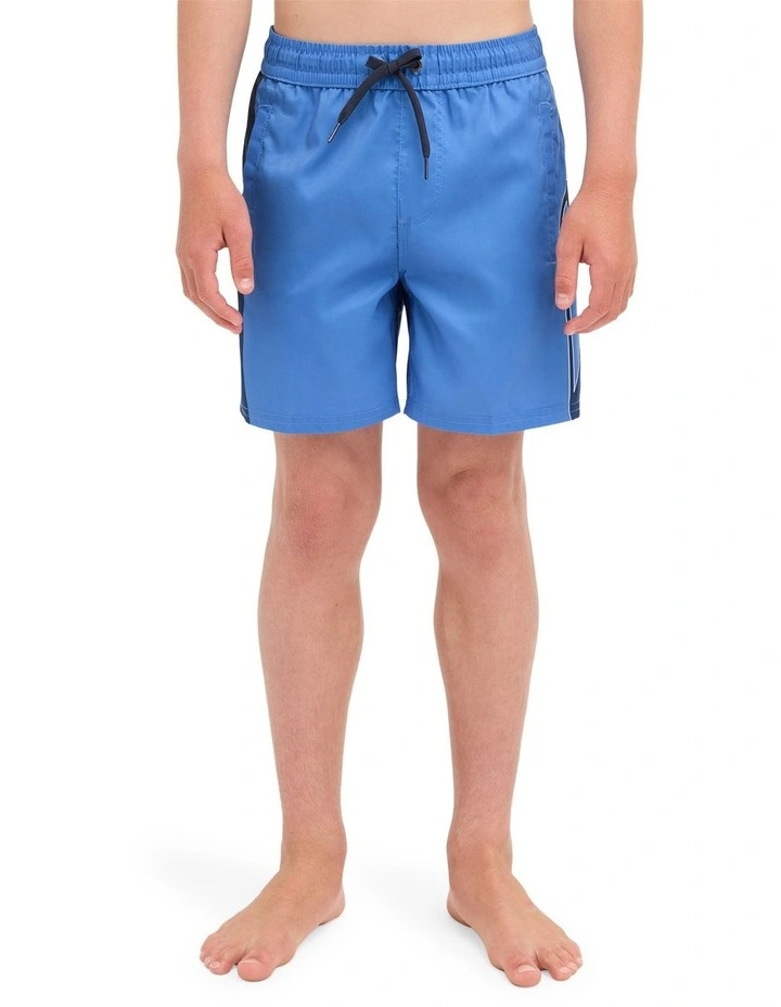 Boys 8-16 Everyday Holmes 14 Volley Shorts In Palace Blue Holmes image 1