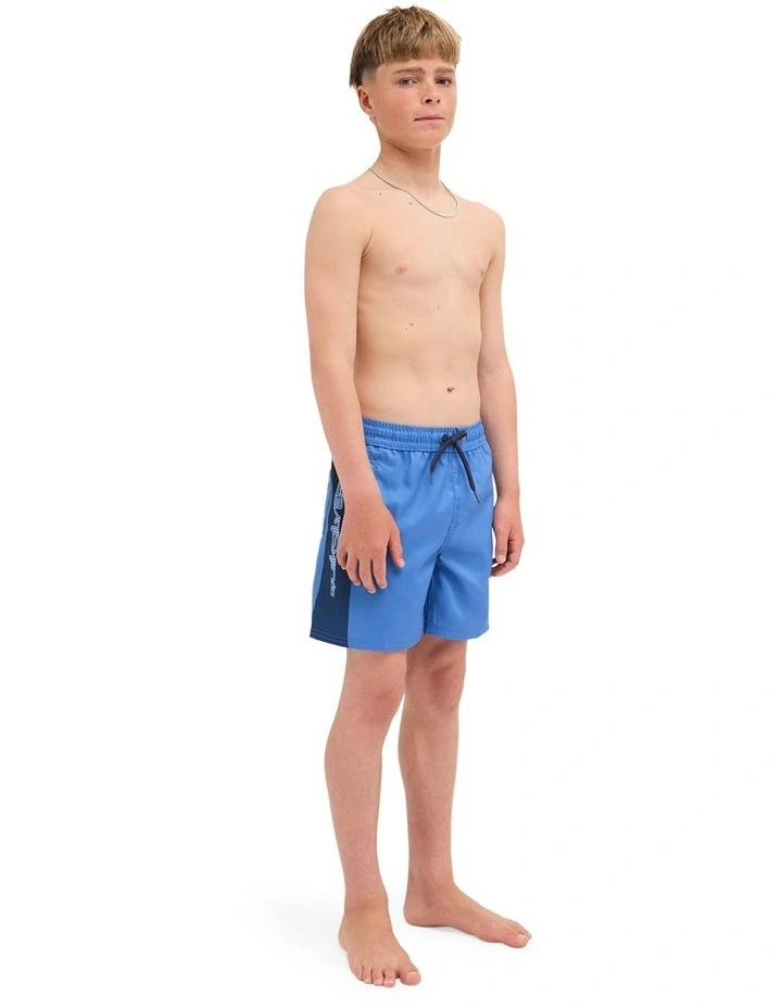 Boys 8-16 Everyday Holmes 14 Volley Shorts In Palace Blue Holmes image 5