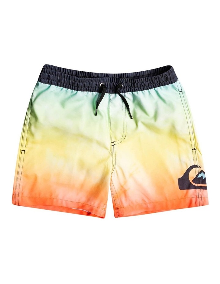 Everyday Faded Logo 12 Inch Swim Shorts Multi