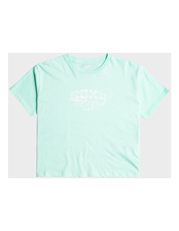 Mint colour