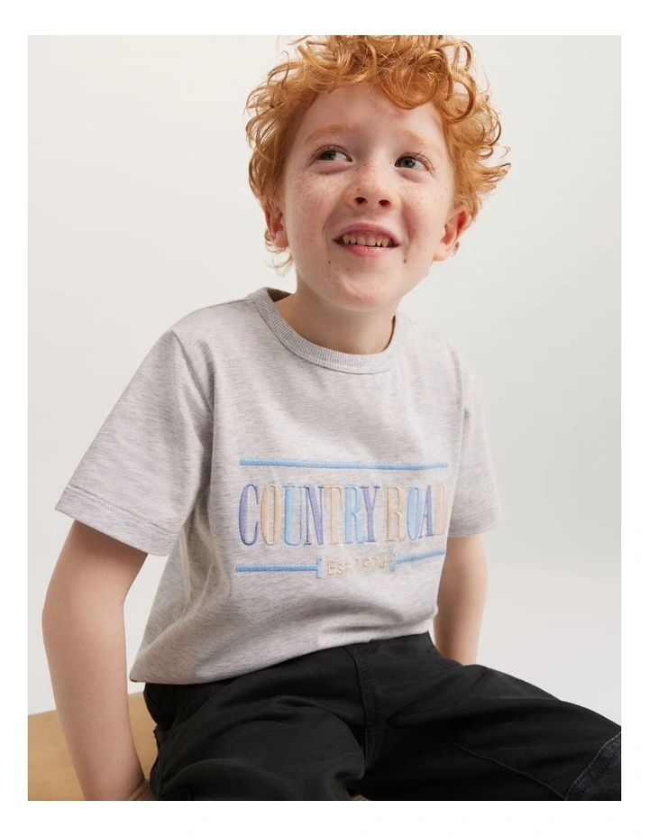 Verified Australian Cotton Heritage T-Shirt in Multi Pale Marle image 2