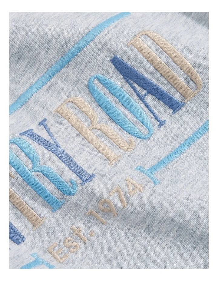Verified Australian Cotton Heritage T-Shirt in Multi Pale Marle image 4