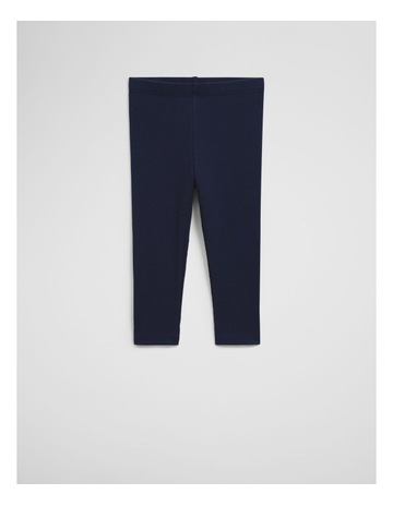 French Navy colour