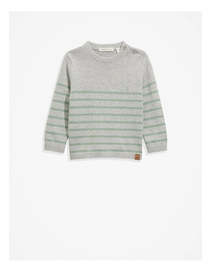 Classic Stripe Knit Top in Fern image 4