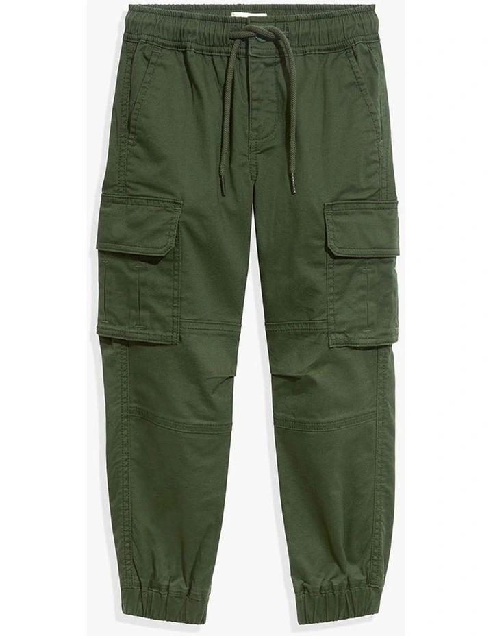 Organically Grown Cotton Cargo Pant in Kale image 1