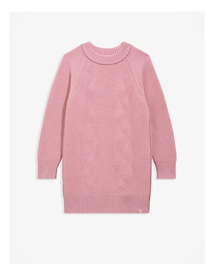 Knit Dress in Dusty Rose image 4