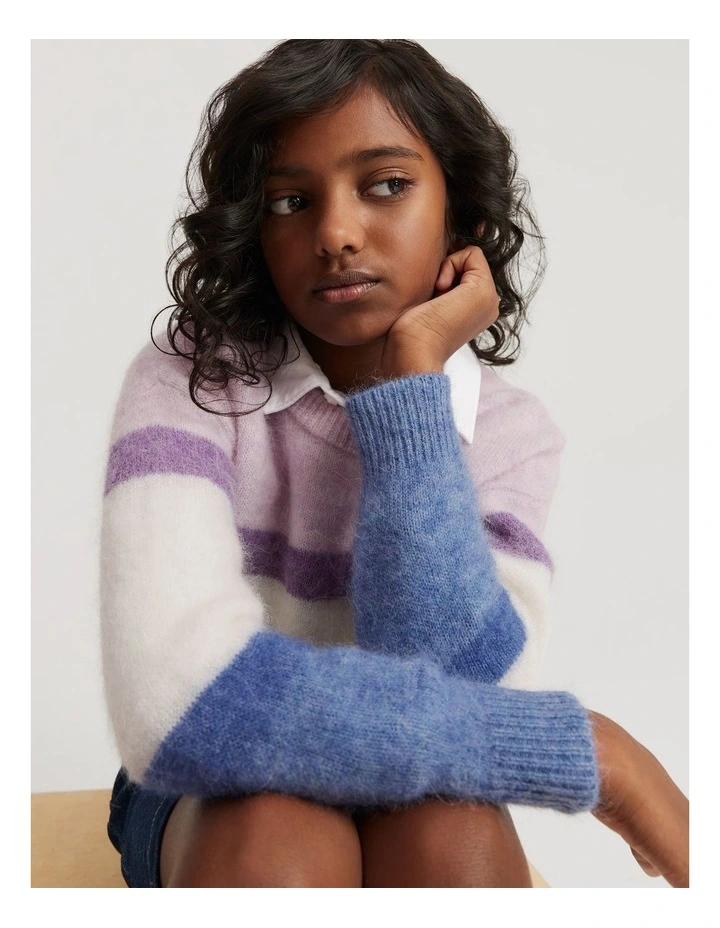 Stripe Knit Pullover in Multi Stripe image 1