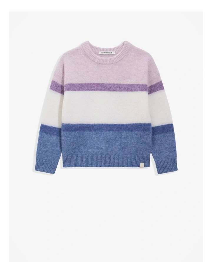 Stripe Knit Pullover in Multi Stripe image 4
