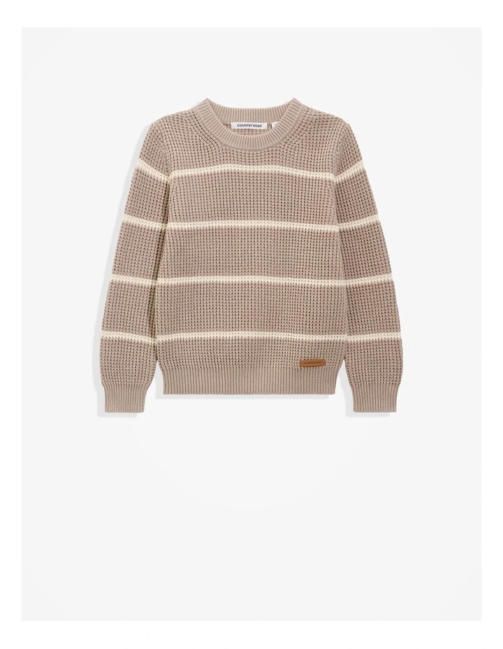 Organically Grown Cotton Stripe Textured Knit in Mushroom image 4