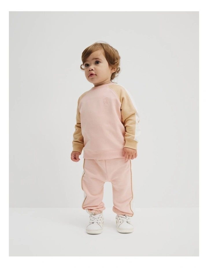 Cotton Spliced Sweat Pant in Antique Pink image 2